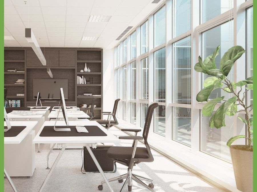 Modern office with floor-to-ceiling windows and a fiddle-leaf fig
