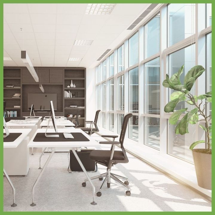 Modern office with floor-to-ceiling windows and a fiddle-leaf fig