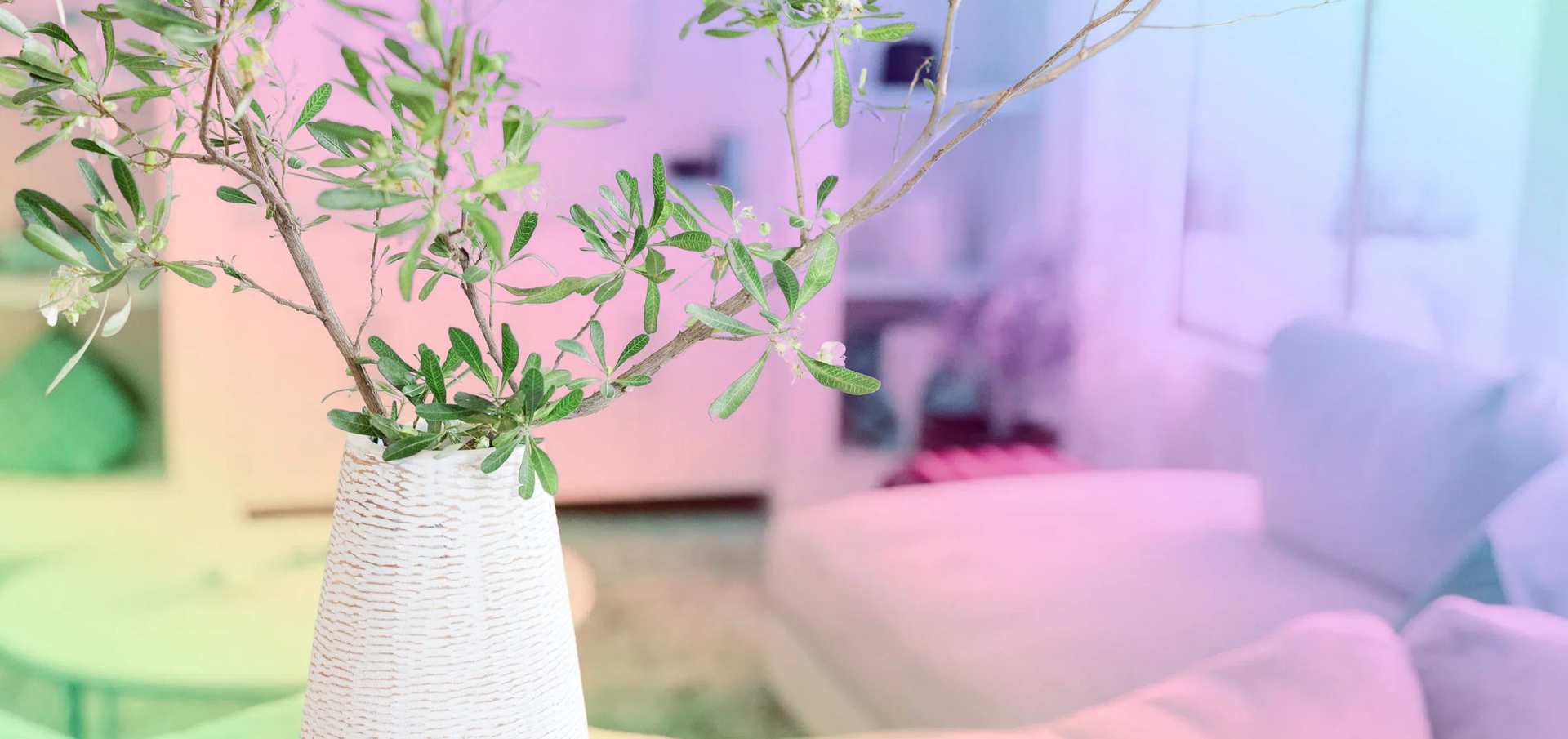 沙发旁的白色陶瓷花瓶与橄榄枝，笼罩在粉色、薰衣草紫与薄荷绿的柔光中